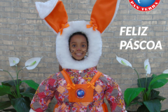 trcomunica-marketing-educacional-pan-terra